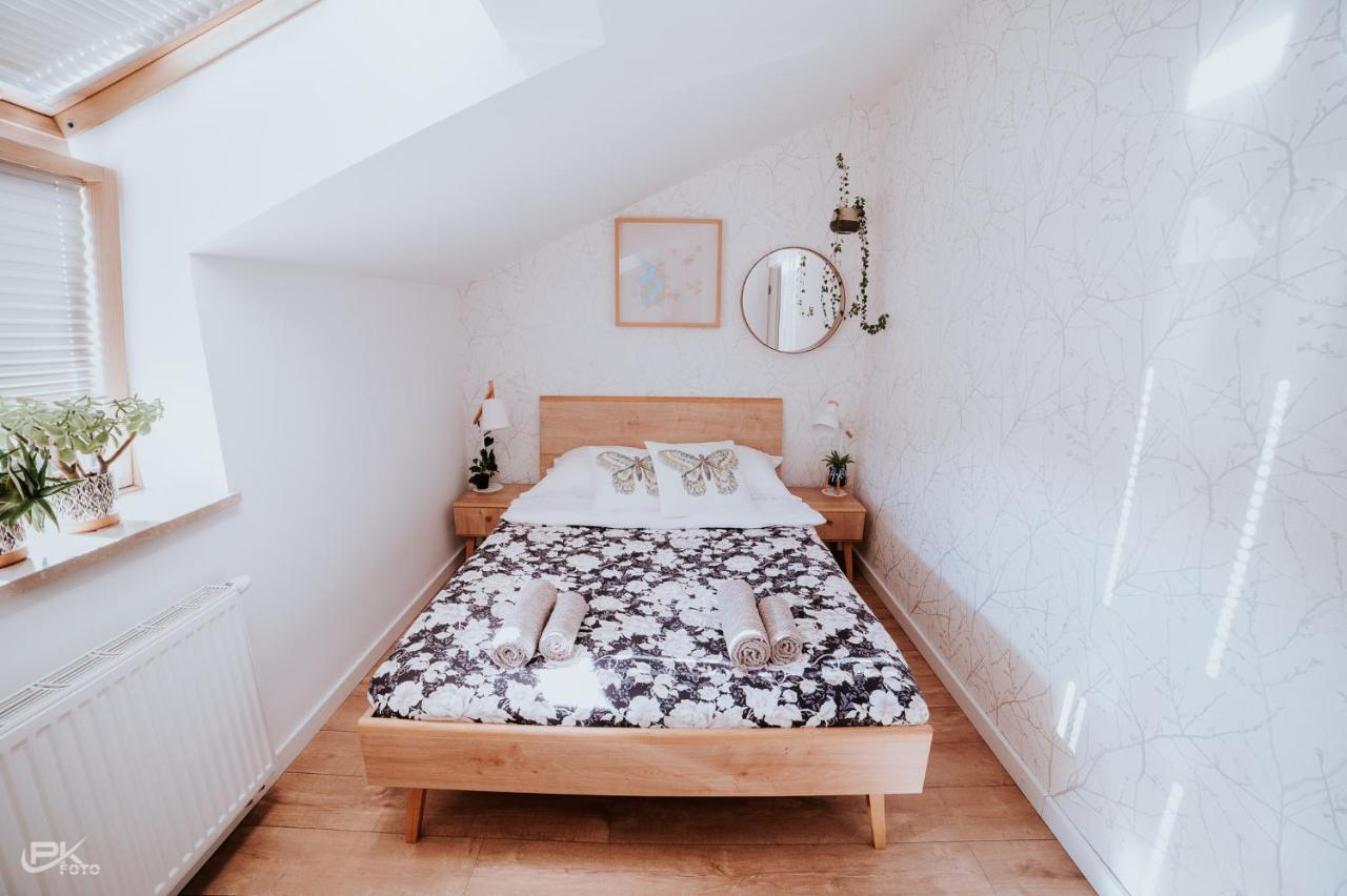 Zimowit Apartment Rzeszow